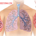 Emfisema: Kondisi yang Disebabkan oleh Kerusakan pada Dinding Alveoli Paru-paru