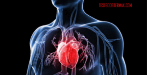 Penyakit Jantung Struktural